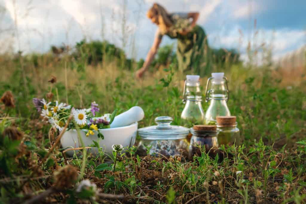 ADHS ohne Medikamente: Kräuter, Natur und ganzheitliche Ansätze zur Unterstützung im Alltag