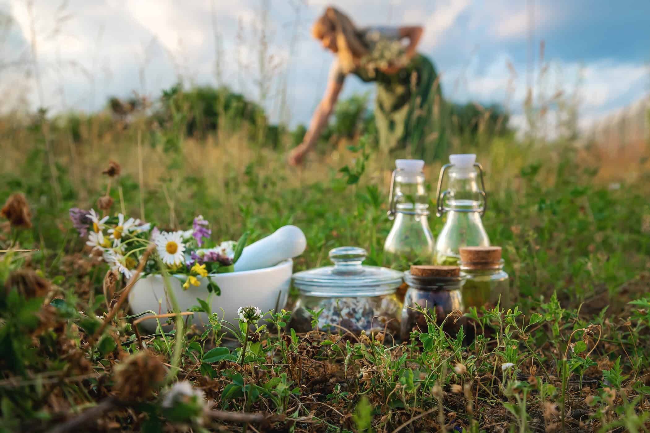 ADHS ohne Medikamente: Kräuter, Natur und ganzheitliche Ansätze zur Unterstützung im Alltag