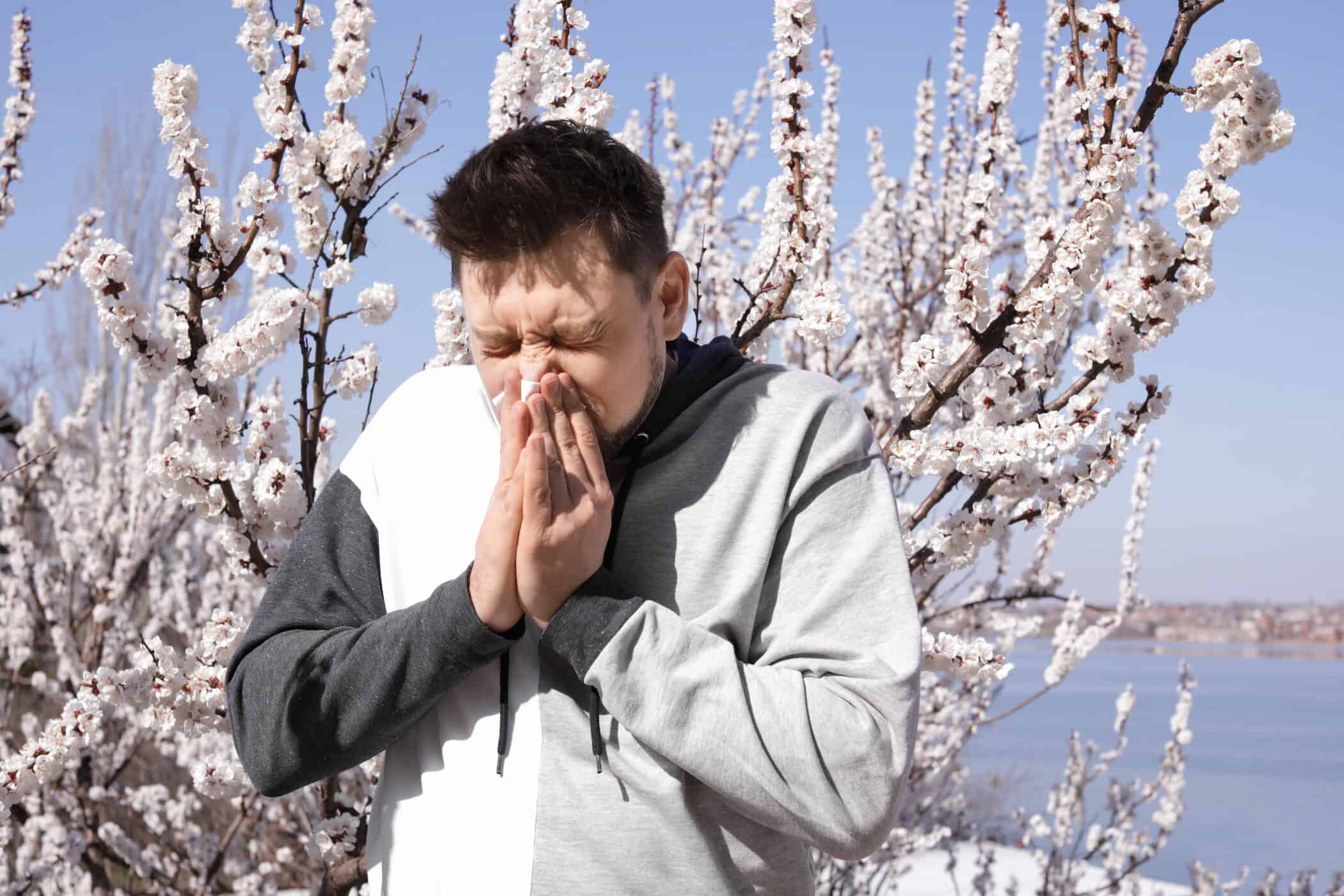 Mann mit ADHS und Asthma niest wegen Pollenallergie vor bl&uuml;henden B&auml;umen im Fr&uuml;hling